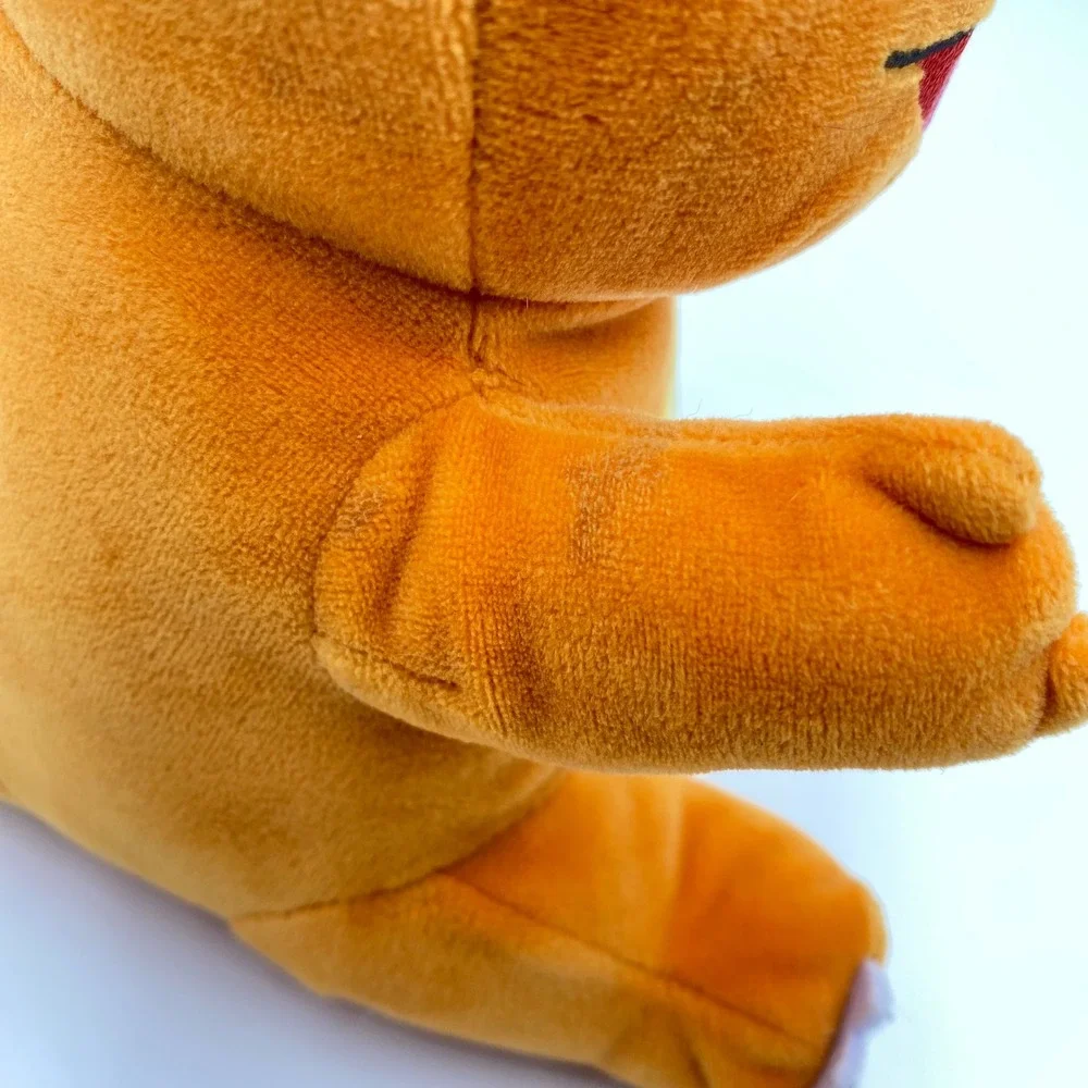 Pokemon Charmander 8